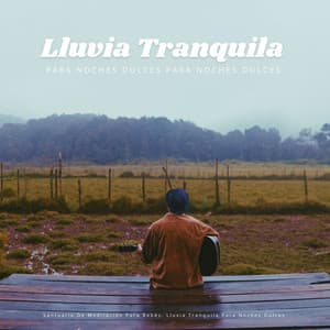 Santuario De Meditación Para Bebés: Lluvia Tranquila Para Noches Dulces - Fabricantes De Lluvia