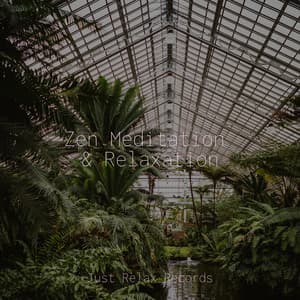 Zen Meditation & Relaxation - Spa & Spa