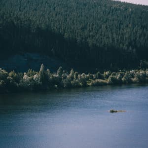 Soothing White Sough - Pure Deep Sleep White Noise