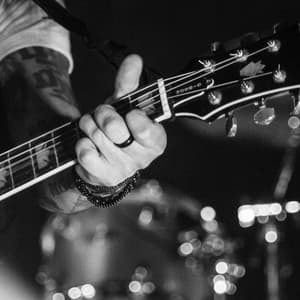 Elevate Harmony: Ambient Music Professional Focus - Reiki harmonia