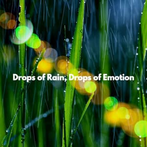 Drops of Rain, Drops of Emotion - Working from Home Playlist