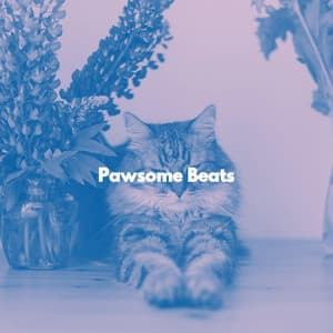 Pawsome Beats - Cat Music