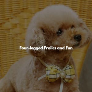 Four-legged Frolics and Fun - Musica de Piano Clásicos