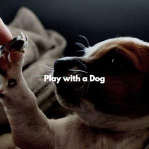 Play with a Dog - Classic French Jazz