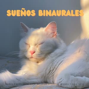 Sueños Binaurales De Gato: Melodías Oceánicas Serenas Y Olas Theta - Binaurales Colectivo