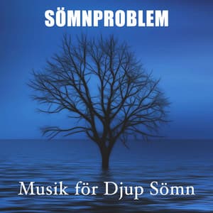 Sömnproblem: Musik för Djup Sömn - Moon Salutation