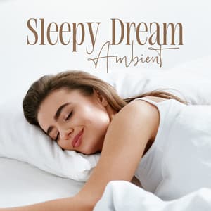 Sleepy Dream Ambient - Insomnia Cure Music Society