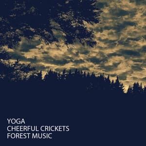 Yoga: Cheerful Crickets Forest Music - Concentration