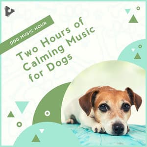 2 Hours of Calming Music for Dogs - Dog Music Hour