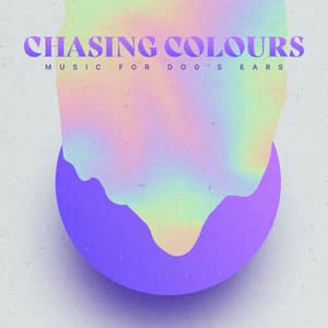 Chasing Colours - Music for Dog's Ears