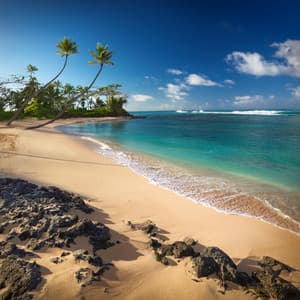 Una Calma Vespertina Reparadora: Música Reconfortante Para Un Descanso Profundo - Salón Halcyon