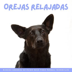 Orejas Relajadas: Bandas Sonoras De Ruido Rosa Para Perros Tranquilos - Ruido Perfecto