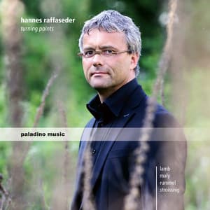 Hannes Raffaseder: Chamber Music - Hannes Raffaseder