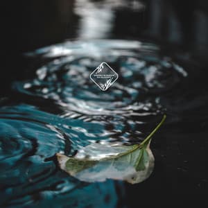 Murmure du Temps - Ensemble de Musique Zen Relaxante