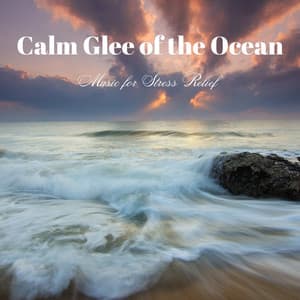 Calm Glee of the Ocean: Music for Stress Relief - The Stormwater