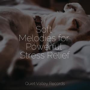 Soft Melodies for Powerful Stress Relief - FX & Effects