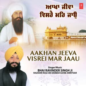 Aakhan Jeeva Visrei Mar Jaau Vol-30 - Bhai Ravinder Singh Ji