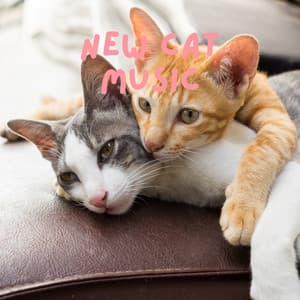 New Cat Music - Pet Music Therapy