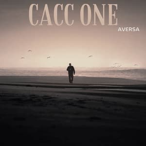Cacc One - Aversa