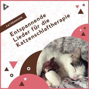 Entspannende Lieder für die Katzenschlaftherapie - Katzenmusik