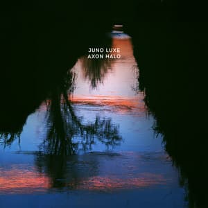 Duskfall - Juno Luxe