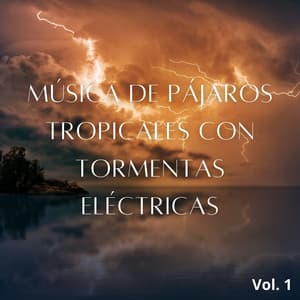 Música De Pájaros Tropicales Con Tormentas Eléctricas Vol. 1 - Sonidos de tormenta de lluvia
