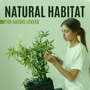 Natural Habitat for Nature Lovers. When You Must Stay at Home. Soothing, Encouraging Reflection, Restful Ambient - Natural New Age Maker!