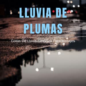Lluvia De Plumas: Gotas De Lluvia Melódica Para Masajes - Última sinfonía de lluvia