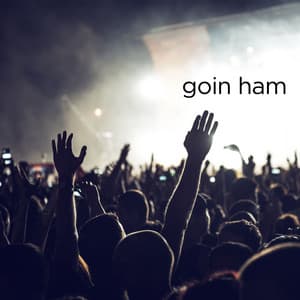 Goin Ham - Instrumental Dance Tracks - Instrumental