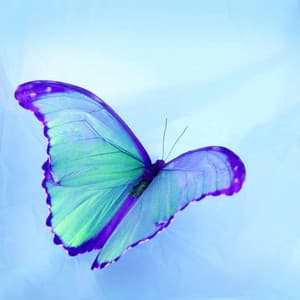 Music for Literary Daydreams - Trabajar desde Casa Clásicos