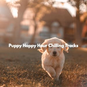 Puppy Happy Hour Chilling Tracks - Musica para Concentrarse Clasicos