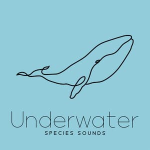 Underwater Species Sounds: Top Level Relaxation for Insomnia - Perfect Peace Ensemble