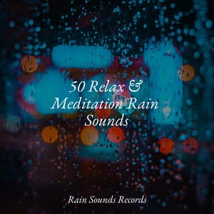 50 Relax & Meditation Rain Sounds - Naturaleza Sonidos