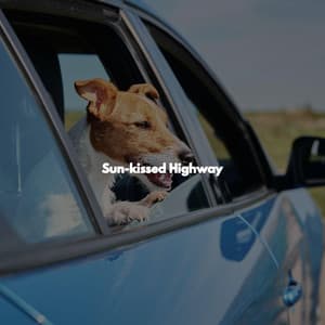 Sun-kissed Highway - Good Morning Jazz Cafe