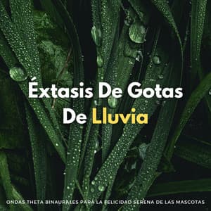 Éxtasis De Gotas De Lluvia: Ondas Theta Binaurales Para La Felicidad Serena De Las Mascotas - Grabaciones de ritmos binaurales