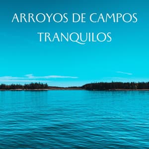 Arroyos De Campos Tranquilos - Aguas Pura