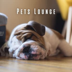 Pets Lounge: Coffee Shop Sounds with Groovy Jazz Tunes - Chilled Jazz Atmosphere