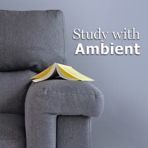 Study with Ambient - Study Focus