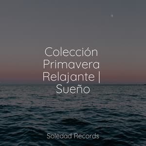 Colección Primavera Relajante | Sueño - Musica para Meditar