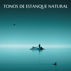 Tonos De Estanque Natural - Sonidos de agua Ruido blanco natural