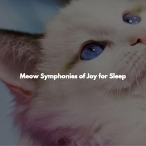 Meow Symphonies of Joy for Sleep - Música para Hoteles Lujo