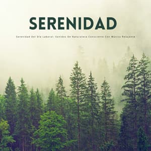 Serenidad Del Día Laboral: Sonidos De Naturaleza Consciente Con Música Relajante - Naturalis