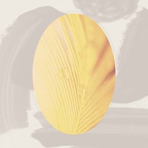 Outstanding Ambiance for Late Spring - New York Lounge Quartett