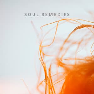 Soul Remedies: Healing Your Tired Mind and Soul, Immersive Meditation and Sleep - Zen Meditation Music Academy