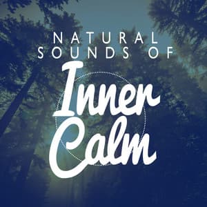 Natural Sounds for Inner Calm - Bruits naturels