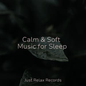 Calm & Soft Music for Sleep - Instrumental