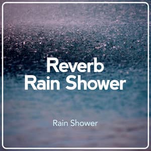 Reverb Rain Shower - Rain Shower