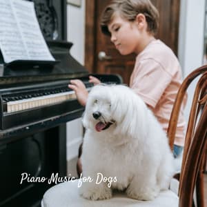 Piano Music for Dogs - Piano Jazz Bar