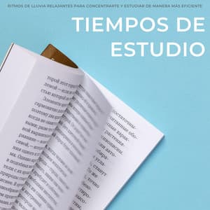 Tiempos De Estudio: Ritmos De Lluvia Relajantes Para Concentrarte Y Estudiar De Manera Más Eficiente - Sonidos de lluvia ASMR