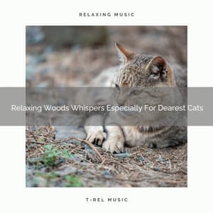 Relaxing Woods Whispers Especially For Dearest Cats - Pets Relax